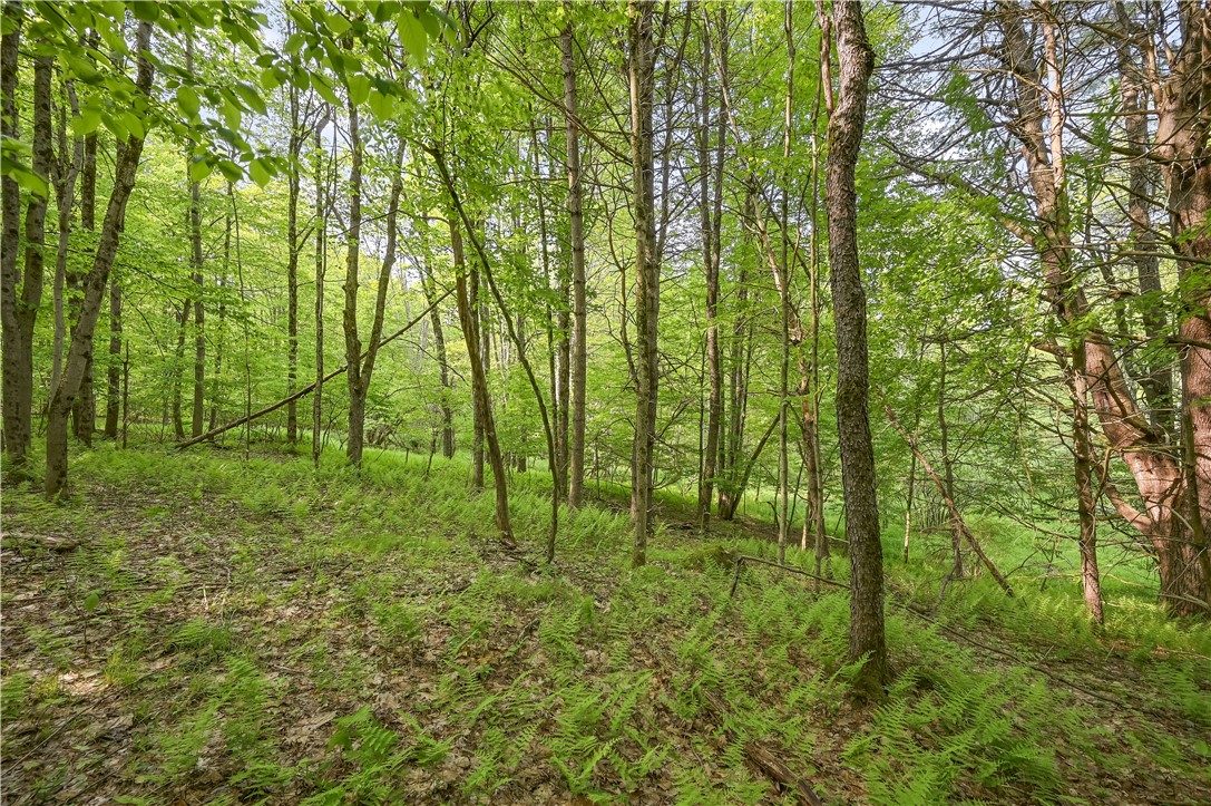 L22.22 Mud Road, Laurens, New York image 8