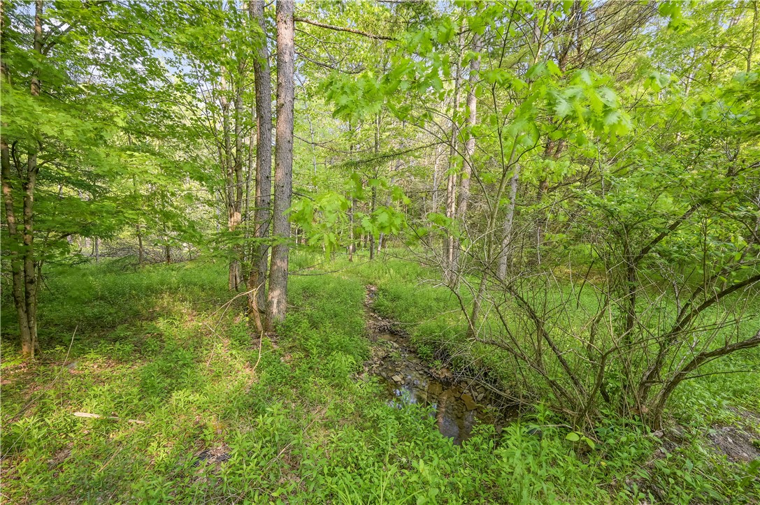 L22.22 Mud Road, Laurens, New York image 3