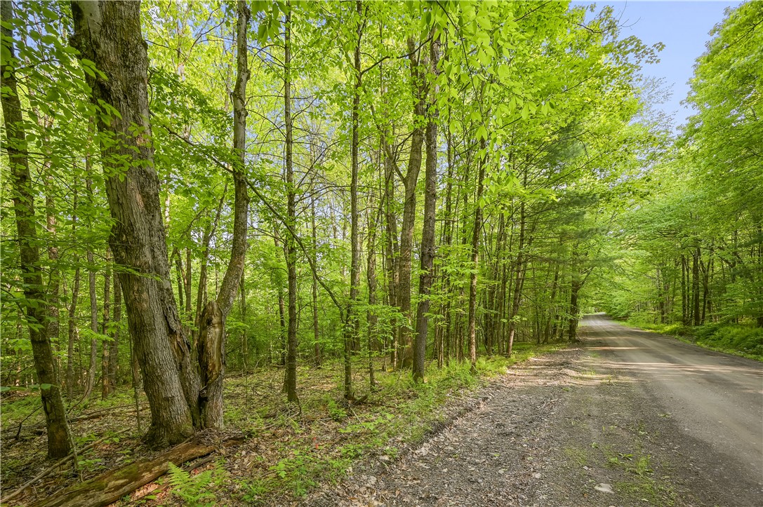 L22.22 Mud Road, Laurens, New York image 13
