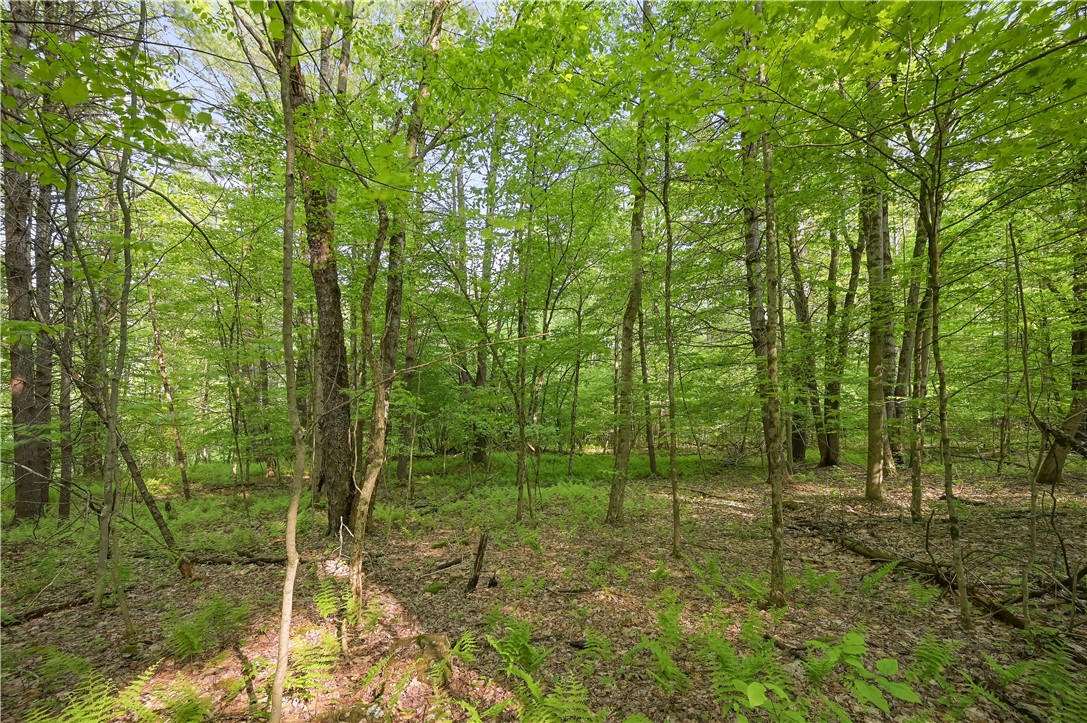 L22.22 Mud Road, Laurens, New York image 11