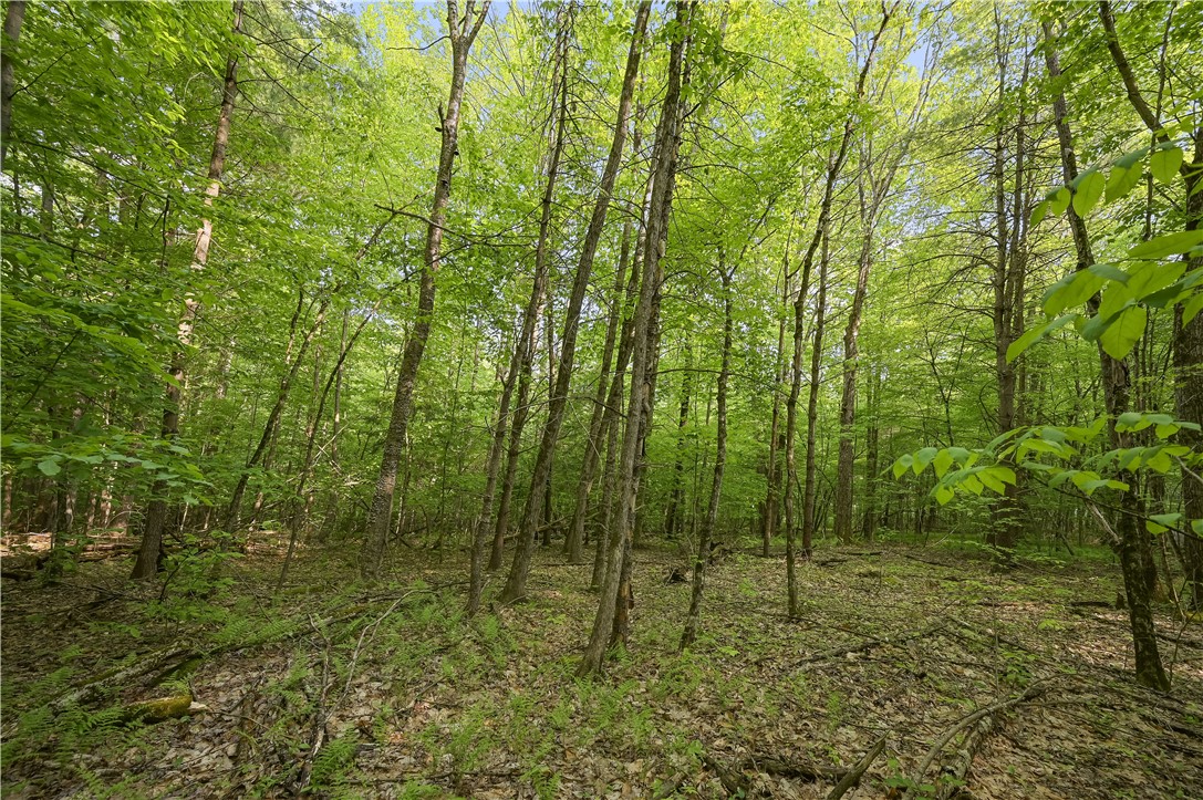 L22.22 Mud Road, Laurens, New York image 15