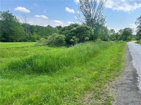 Vacant Land For Sale - 00 Oregon Road<br/> Butternuts, NY 13776