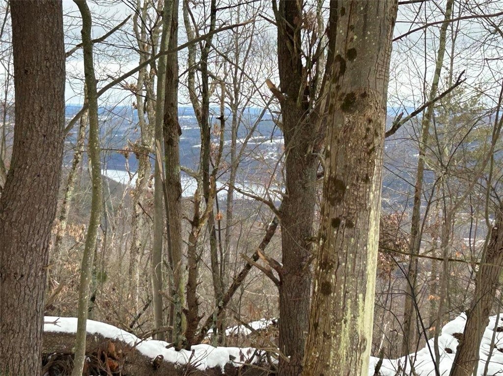 Hammondsport Road