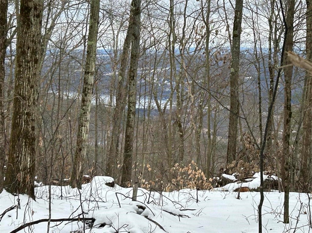 Hammondsport Road