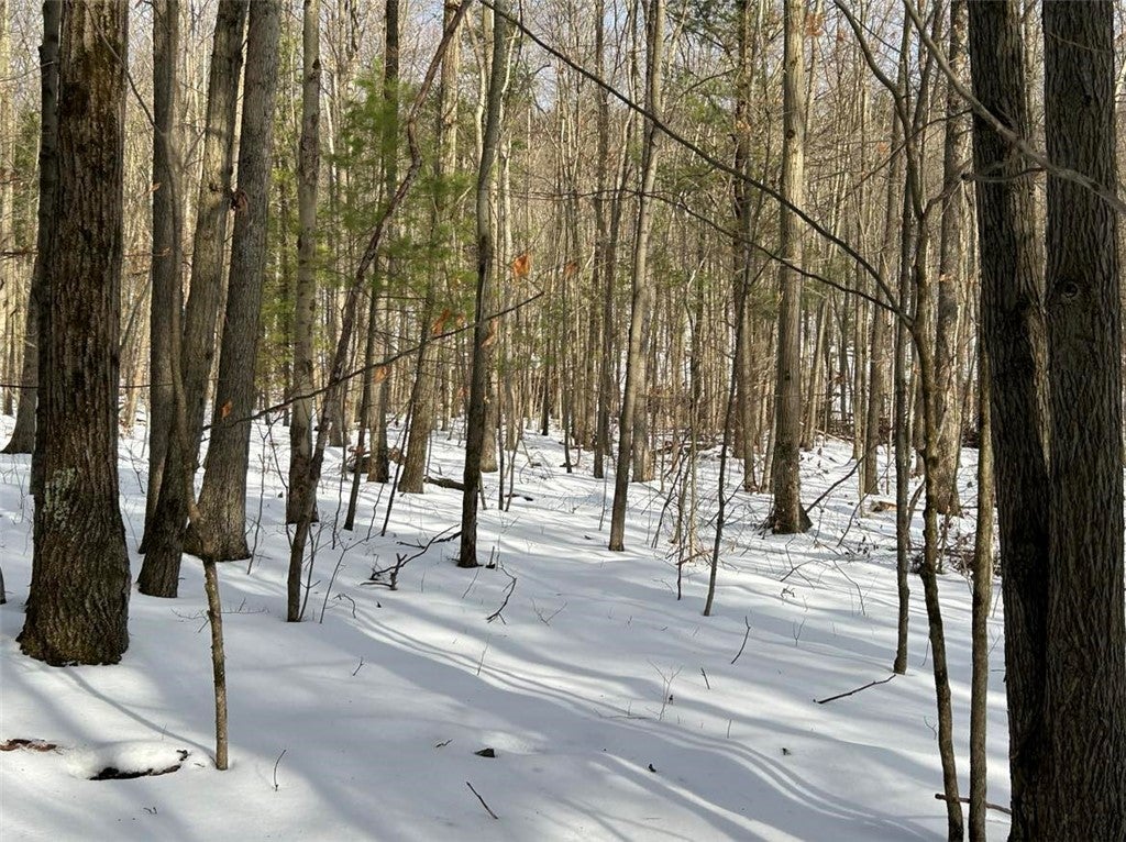 Hammondsport Road