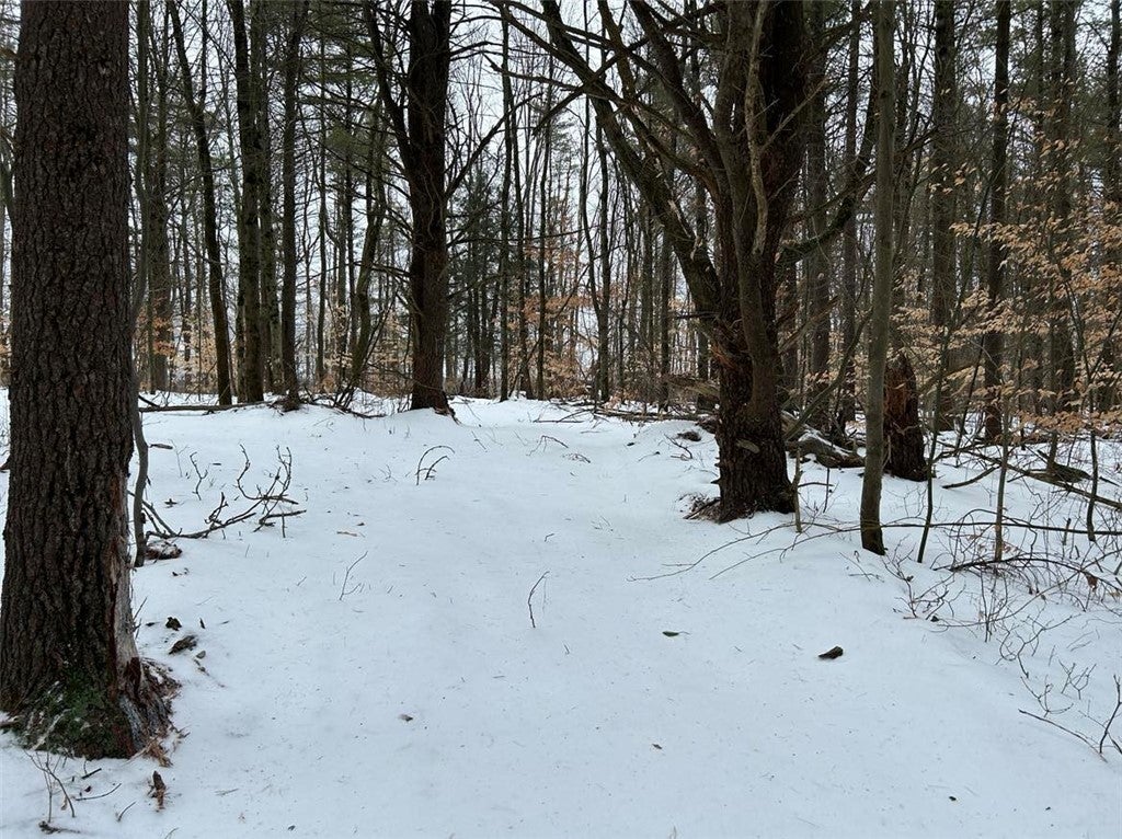 Hammondsport Road