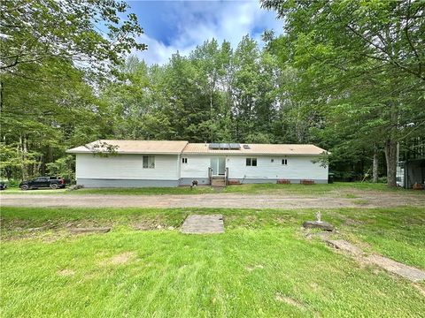 Homes For Sale - 3582 County Highway 4<br/> Morris, NY 13843
