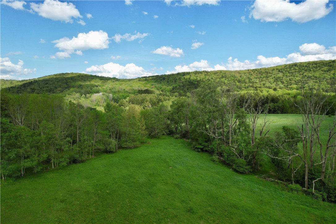 1114 Bull Run Road, Middletown, New York image 45