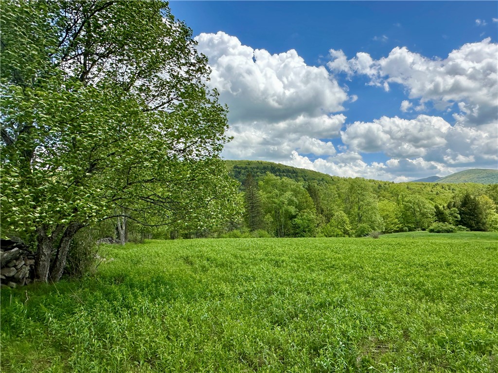 1114 Bull Run Road, Middletown, New York image 41