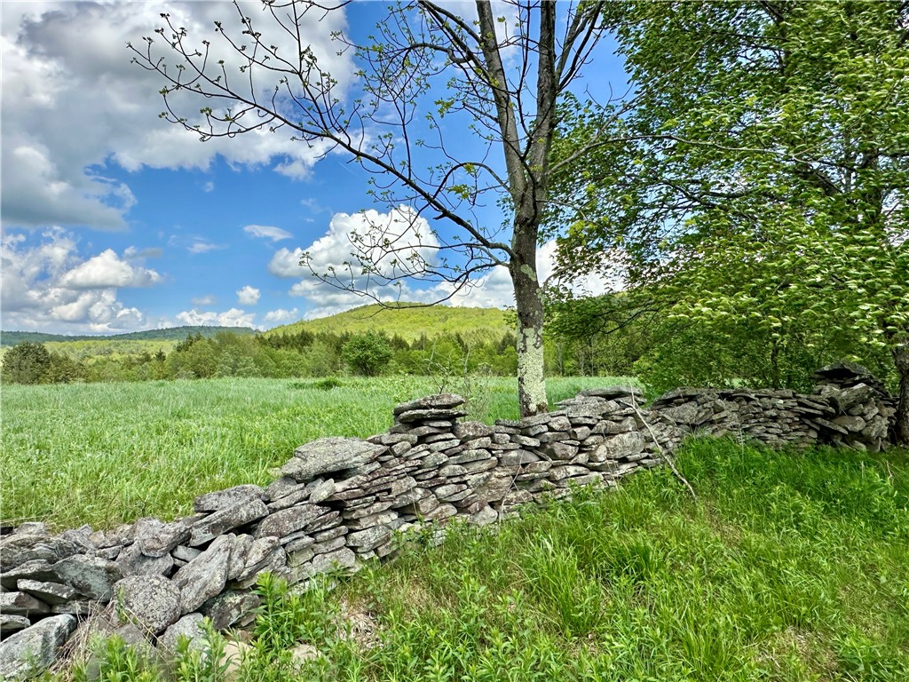 1114 Bull Run Road, Middletown, New York image 35