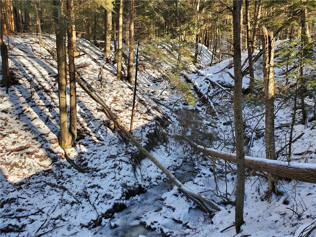 Lot 62 State Highway 205, Laurens, New York image 37