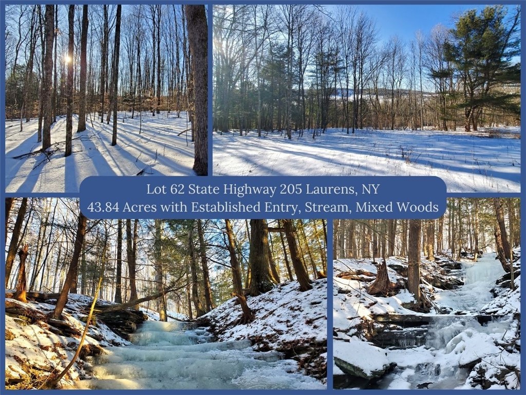 Lot 62 State Highway 205, Laurens, New York image 50