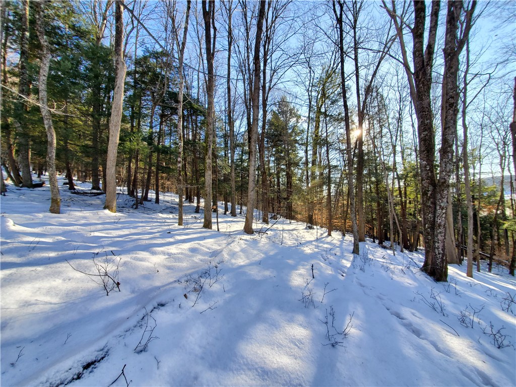 Lot 62 State Highway 205, Laurens, New York image 47