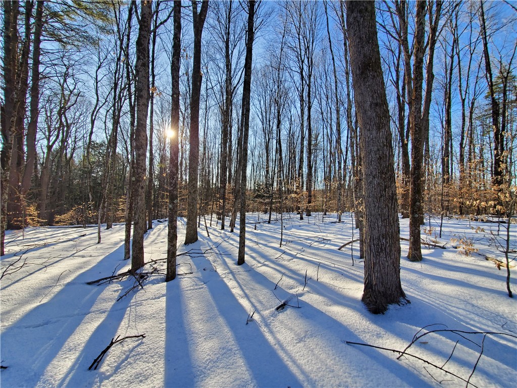 Lot 62 State Highway 205, Laurens, New York image 45