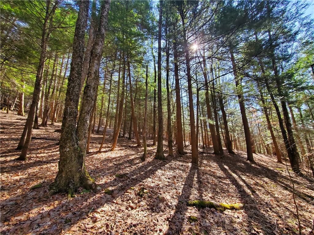 Lot 62 State Highway 205, Laurens, New York image 28