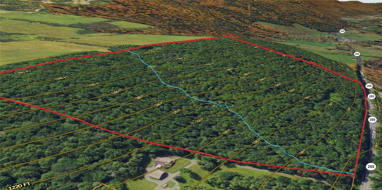 Lot 62 State Highway 205, Laurens, New York image 33