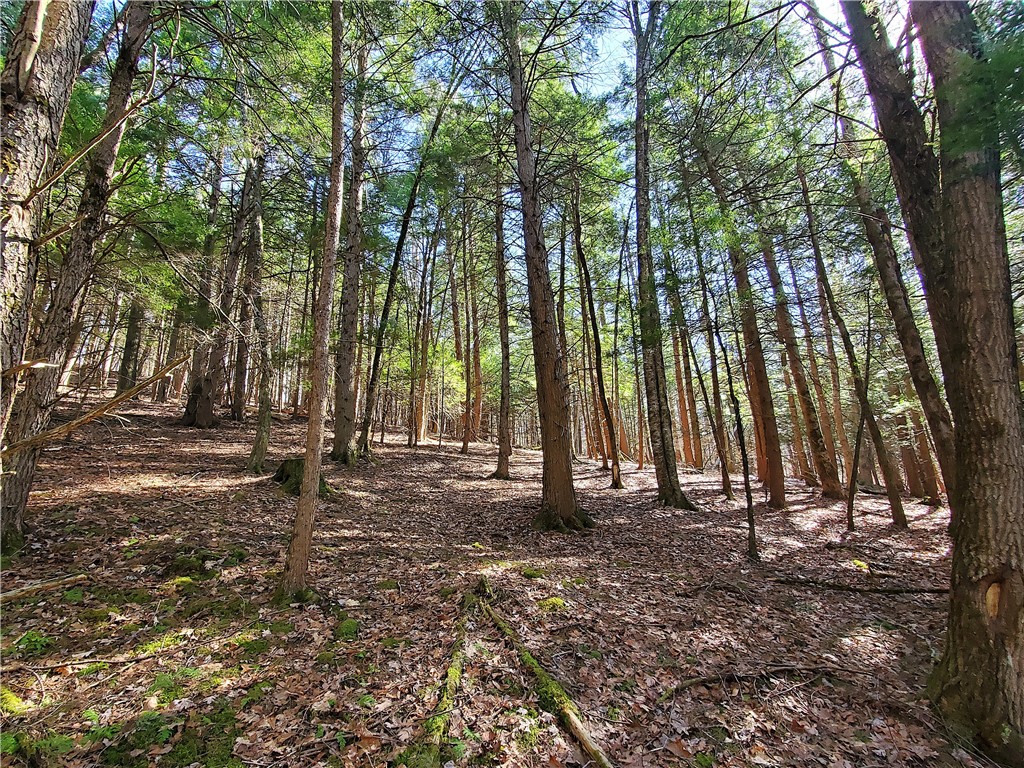 Lot 62 State Highway 205, Laurens, New York image 27