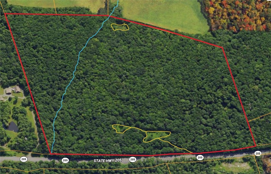 Lot 62 State Highway 205, Laurens, New York image 32