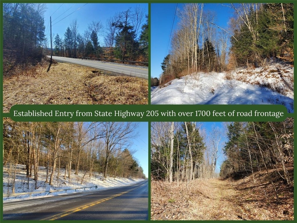 Lot 62 State Highway 205, Laurens, New York image 9