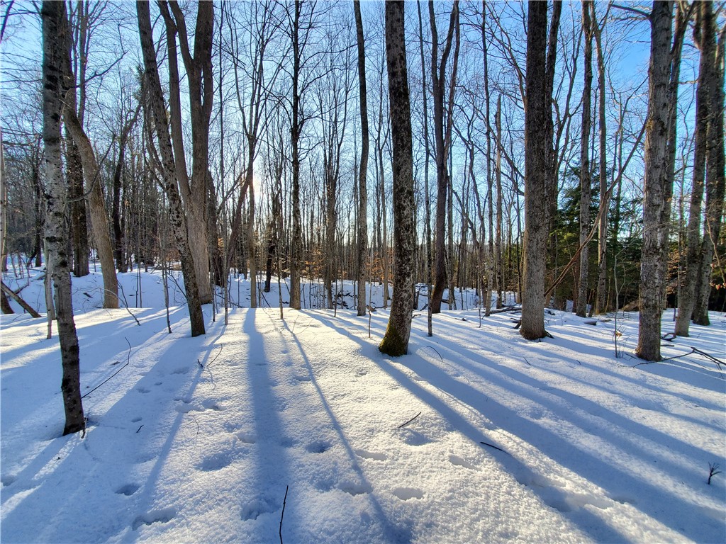 Lot 62 State Highway 205, Laurens, New York image 46