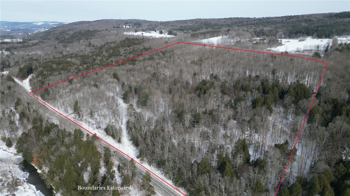 Lot 62 State Highway 205, Laurens, New York image 34