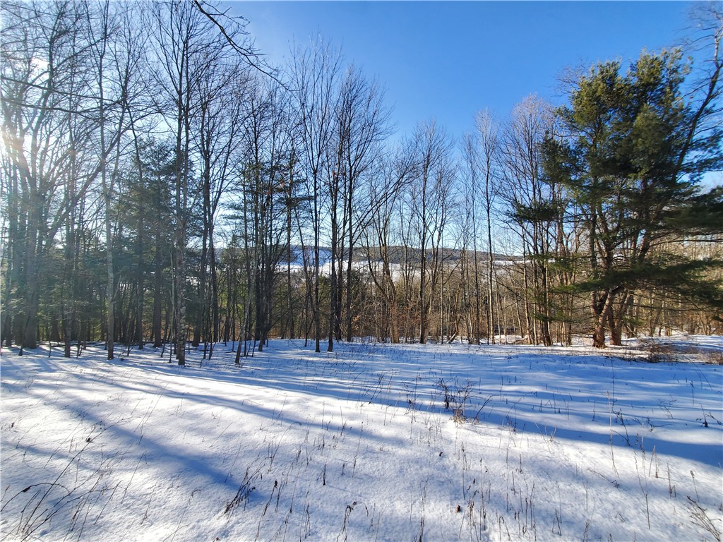 Lot 62 State Highway 205, Laurens, New York image 49