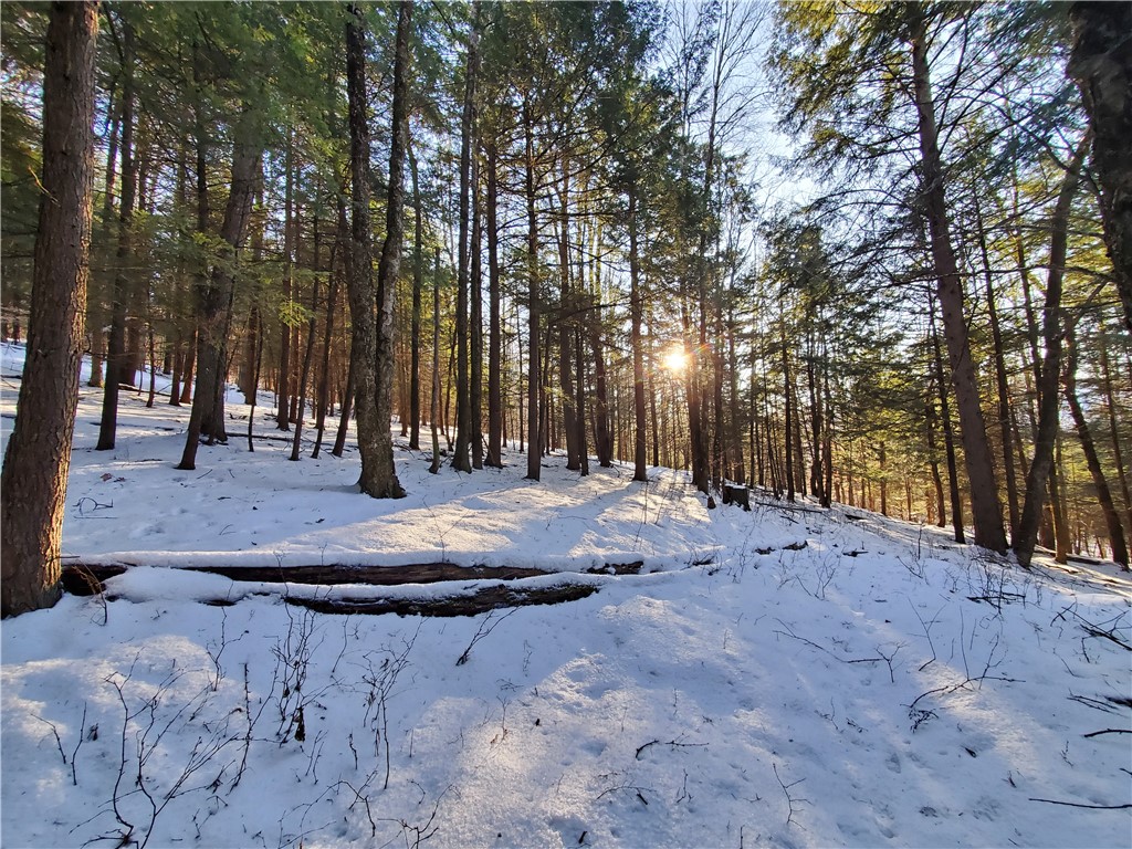 Lot 62 State Highway 205, Laurens, New York image 44