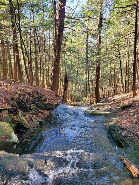 Lot 62 State Highway 205, Laurens, New York image 23