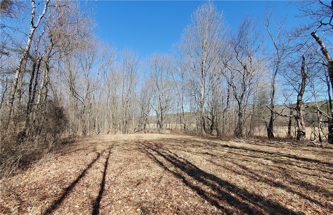 Lot 62 State Highway 205, Laurens, New York image 15