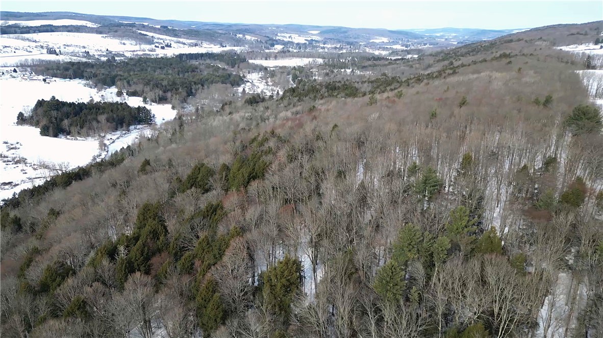 Lot 62 State Highway 205, Laurens, New York image 35