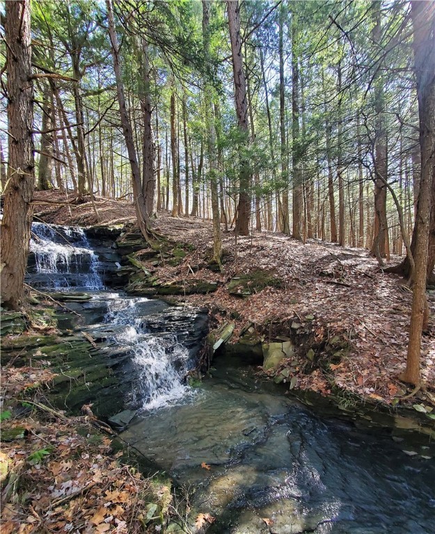 Lot 62 State Highway 205, Laurens, New York image 25
