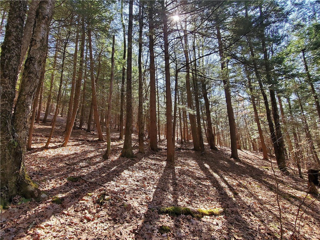 Lot 62 State Highway 205, Laurens, New York image 7