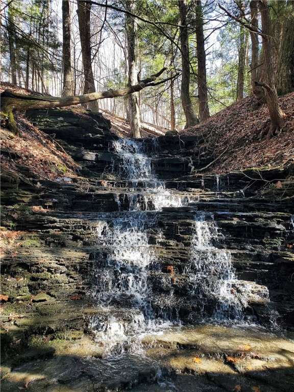 Lot 62 State Highway 205, Laurens, New York image 3