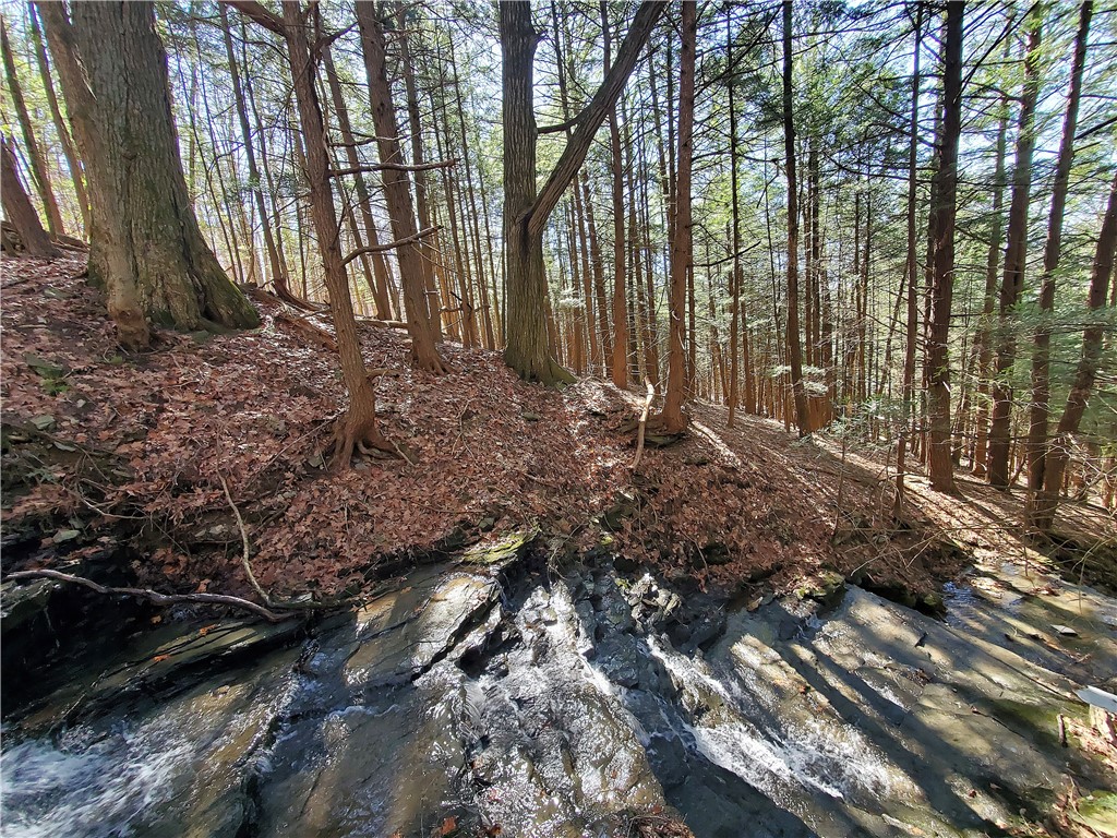 Lot 62 State Highway 205, Laurens, New York image 21