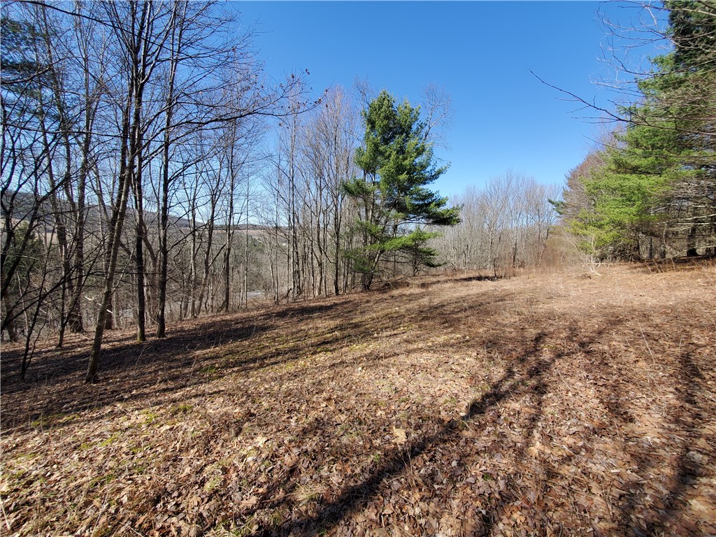 Lot 62 State Highway 205, Laurens, New York image 8