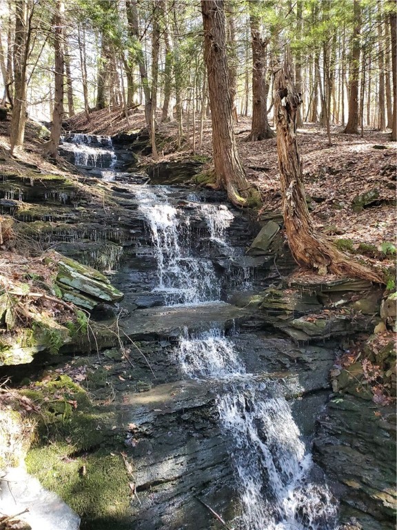 Lot 62 State Highway 205, Laurens, New York image 26