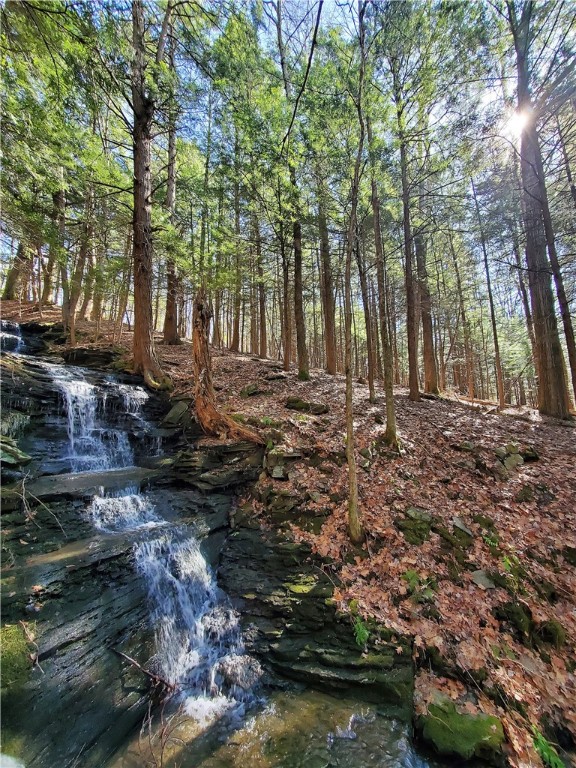 Lot 62 State Highway 205, Laurens, New York image 2