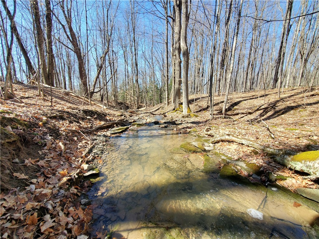 Lot 62 State Highway 205, Laurens, New York image 17