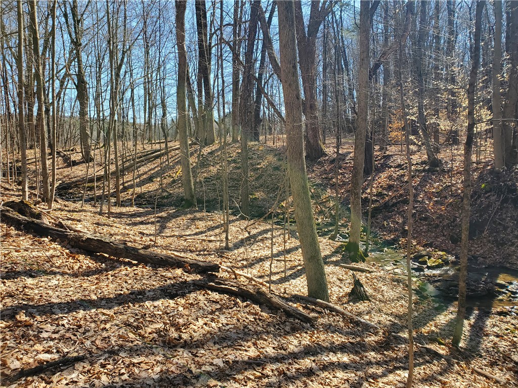 Lot 62 State Highway 205, Laurens, New York image 18