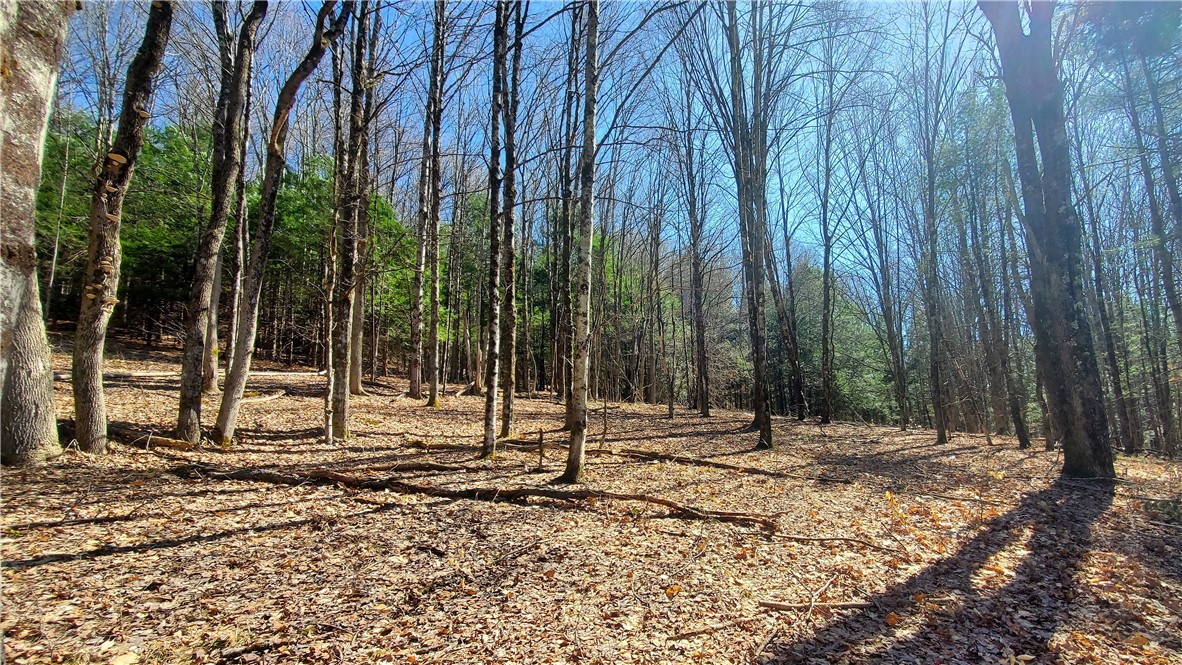 Lot 62 State Highway 205, Laurens, New York image 11
