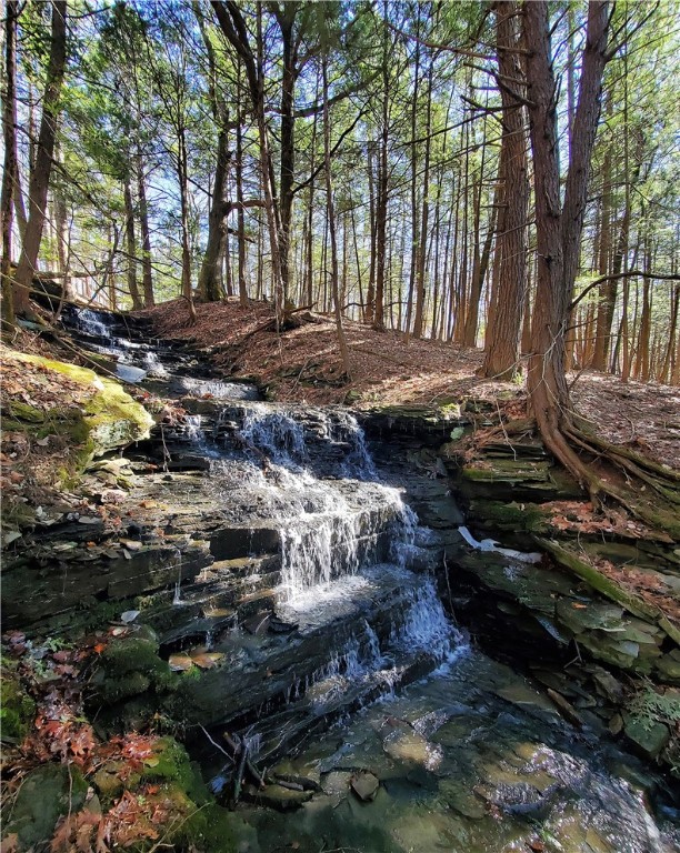 Lot 62 State Highway 205, Laurens, New York image 22