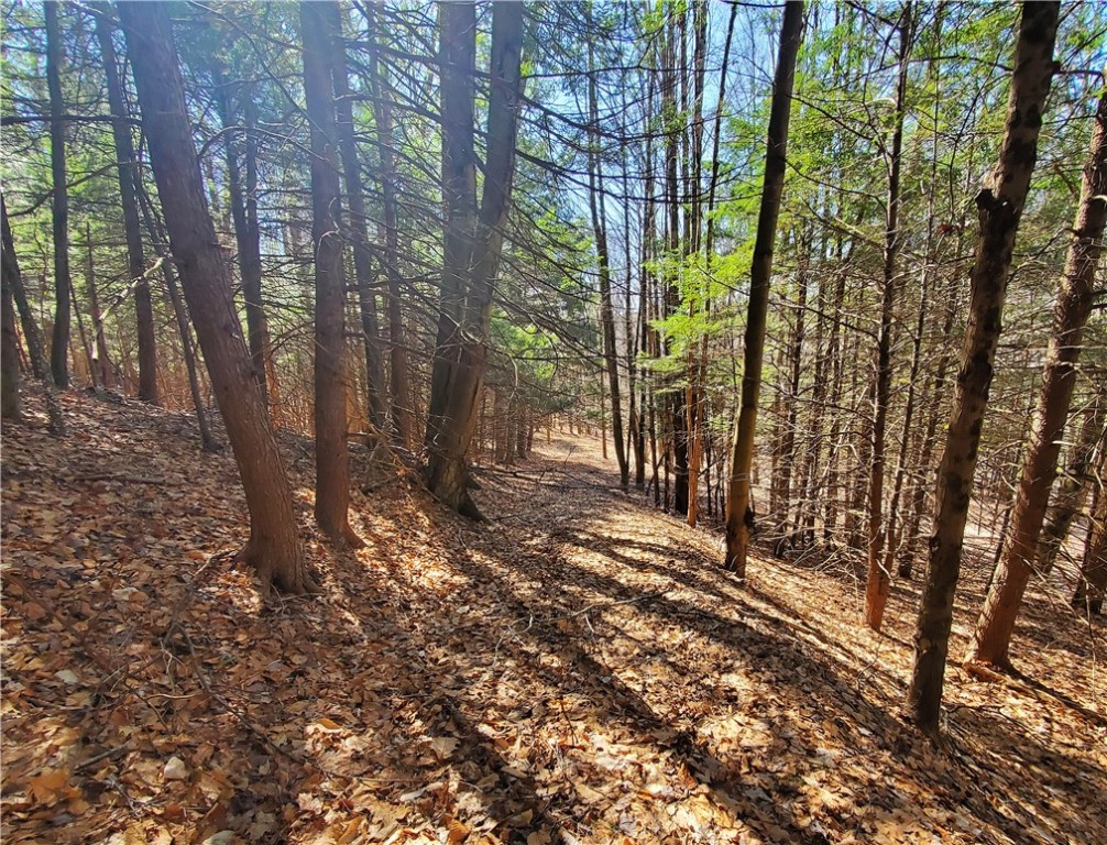 Lot 62 State Highway 205, Laurens, New York image 12