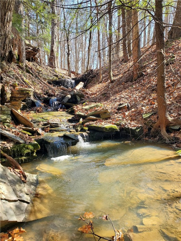 Lot 62 State Highway 205, Laurens, New York image 4