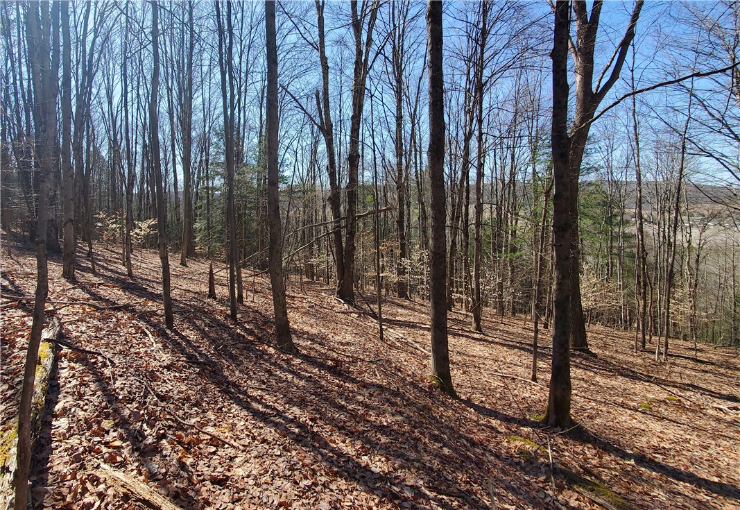 Lot 62 State Highway 205, Laurens, New York image 13