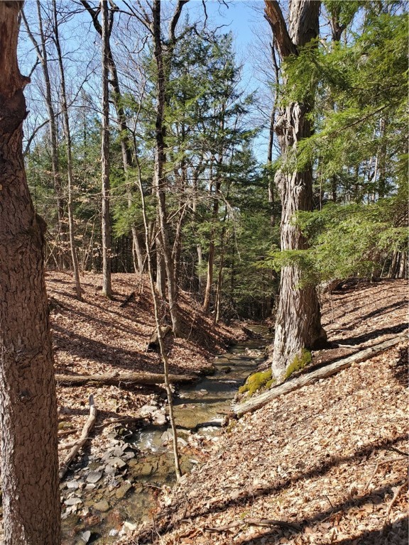 Lot 62 State Highway 205, Laurens, New York image 19