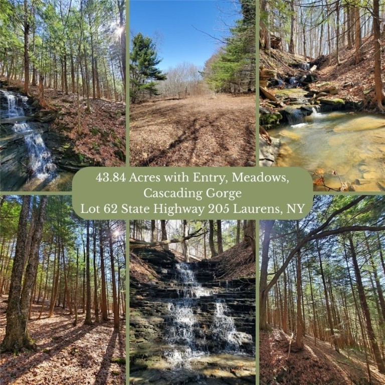 Lot 62 State Highway 205, Laurens, New York image 1