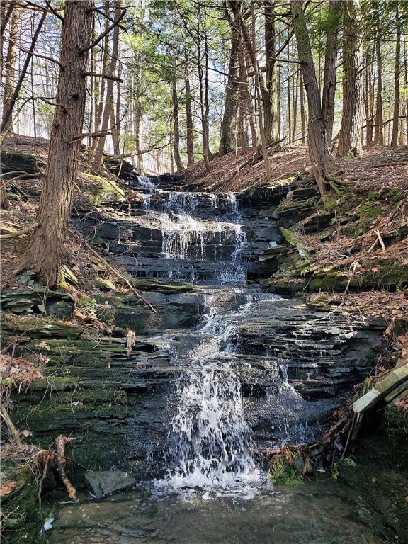 Lot 62 State Highway 205, Laurens, New York image 24