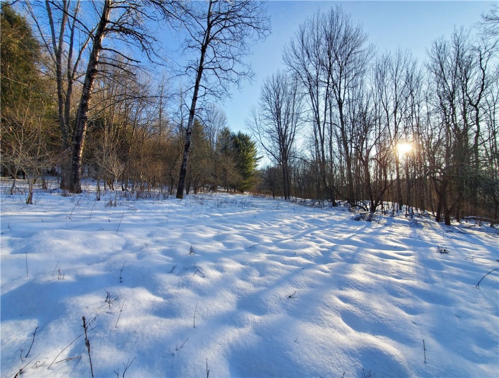 Lot 62 State Highway 205, Laurens, New York image 38