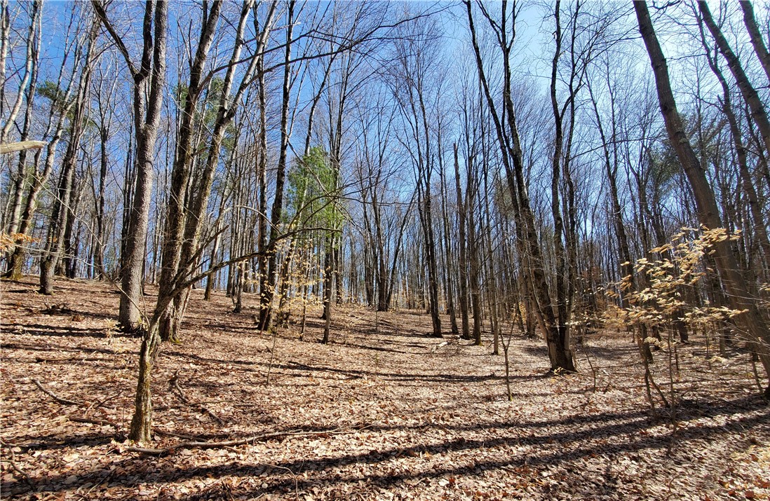 Lot 62 State Highway 205, Laurens, New York image 14
