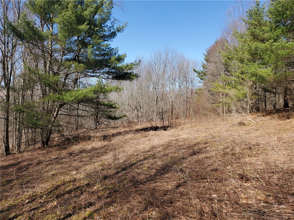 Lot 62 State Highway 205, Laurens, New York image 10